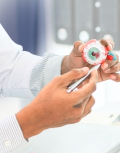 Fellowship training in Retina and Vitreous